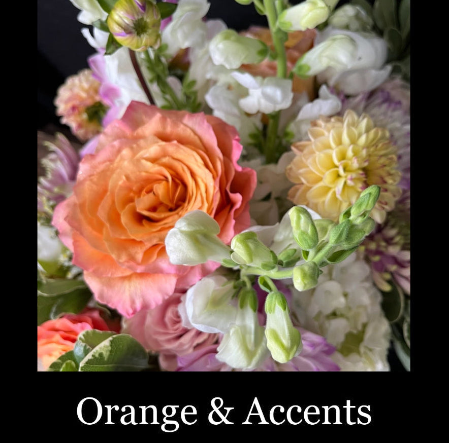 ORANGE & ACCENTS